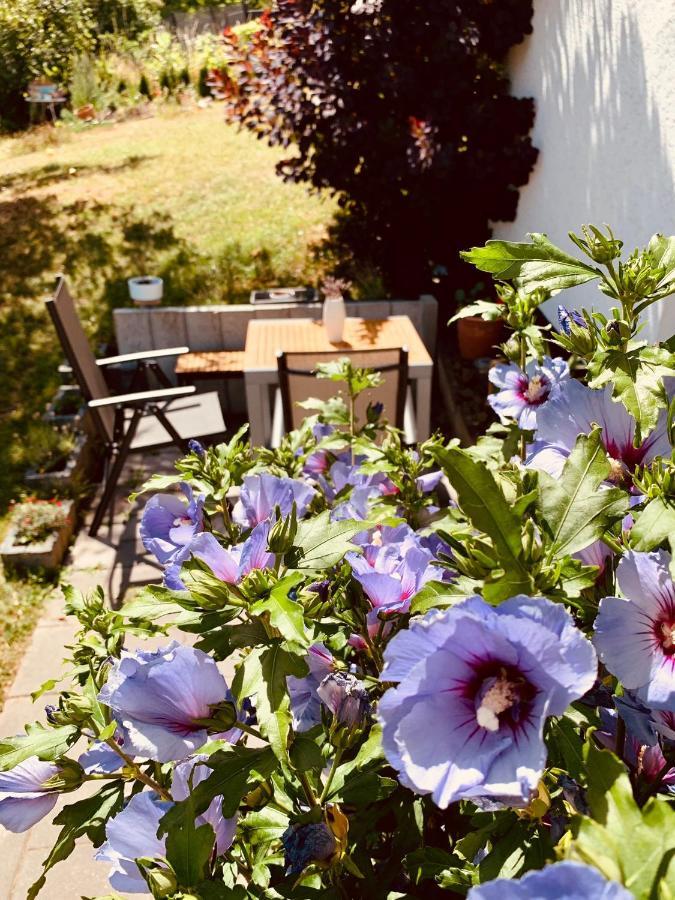 Ferienwohnung „Hygge“ In Liebenburg Exteriér fotografie